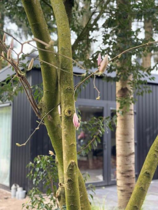 Veluwe Boutique Lodge Putten Exterior foto